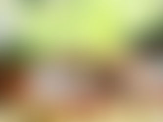 Na Cozinha com o Chef: Mini crepe Francês recheado com tomates frescos e manjericão