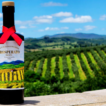 Prosperato lança nova safra do azeite brasileiro premiado internacionalmente 