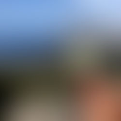 Sicília: vinhos intensos e com perfis aromáticos únicos