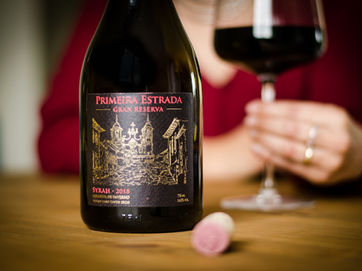 Dia internacional da Syrah: 5 dicas de vinhos para celebrar o 16 de fevereiro 