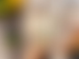 Moscatel elaborado no nordeste brasileiro recebe medalha de ouro França