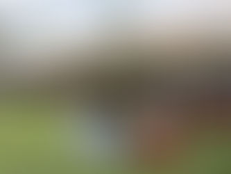 Vale dos Vinhedos celebra o fim da vindima 2026 com festa ao ar livre