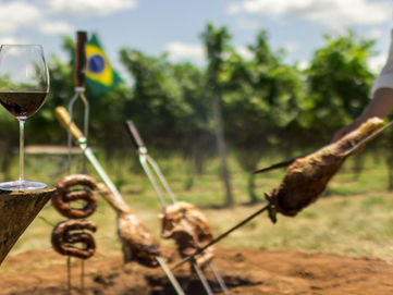 Que vinho escolher para harmonizar com churrasco?