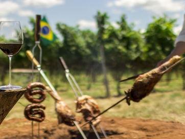 Que vinho escolher para harmonizar com churrasco?