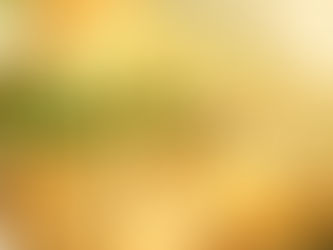 Na Cozinha com o Chef: Salmão com Azeite e Alecrim