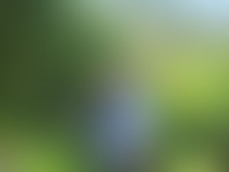 Um poeta em meio aos vinhedos