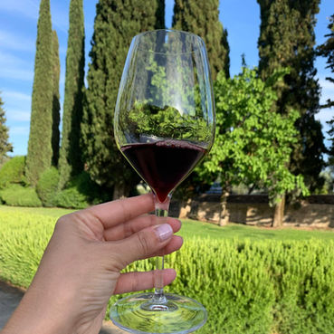 Toscana: Qual é a diferença entre Rosso di Montalcino e Brunello di Montalcino?