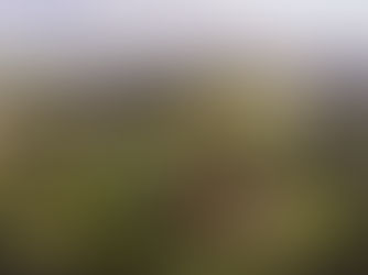 Altos de Pinto Bandeira é oficializada como Denominação de Origem para espumantes do Brasil