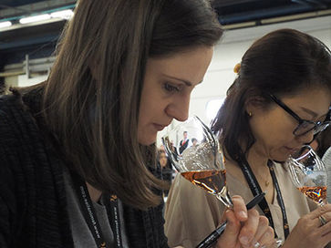Féminalise: concurso de vinhos na França reúne 750 degustadoras