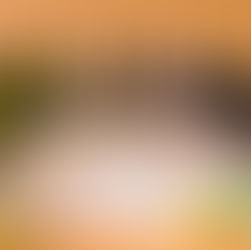 Avaliação Nacional de Vinhos 2021: amanhã, dia 28 de setembro, acontece a venda dos kits