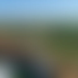 Giusti Wine: conheça a vinícola do Vêneto que deve estar no seu roteiro pela Itália