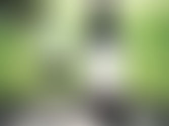 Vinícola Aurora apresenta seu ícone Millésime Cabernet Sauvignon safra 2015