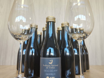 Avaliação Nacional de Vinhos online: Kit de degustação estará à venda a partir do dia 23 de setembro