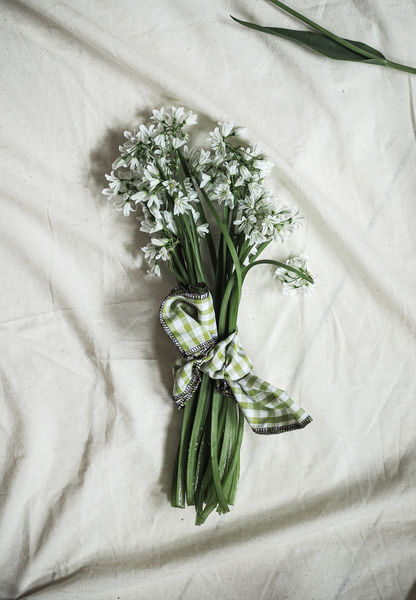 image00001.jpeg