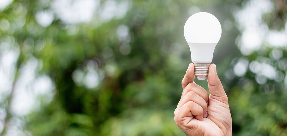LED Light Bulb