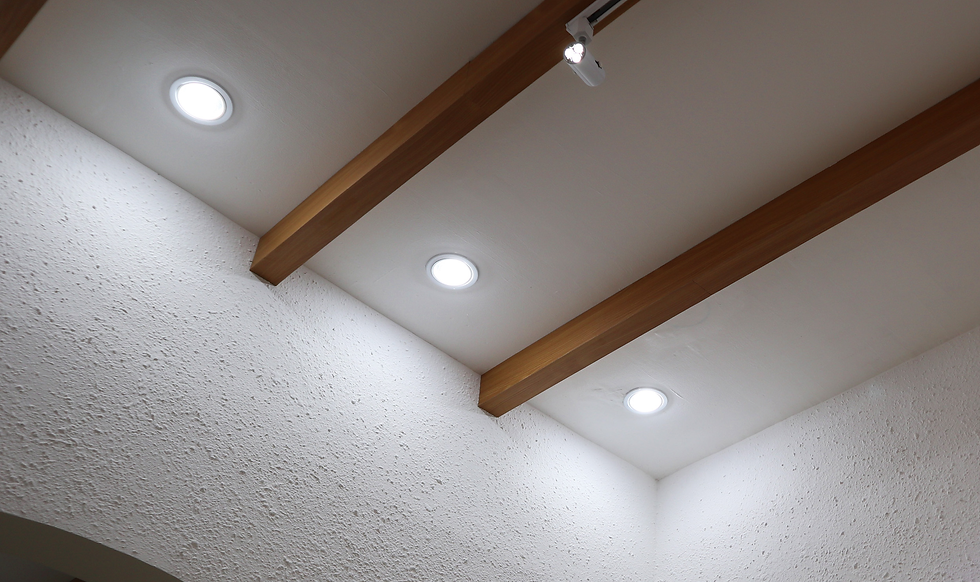 downlight.png