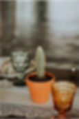 Goblets