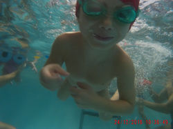 scuola nuoto bimbi