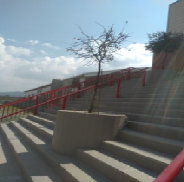 Árbol 300

Especie: Oleáceas
Nombre Común: Olivo
Zona: 3 Preparatoria
