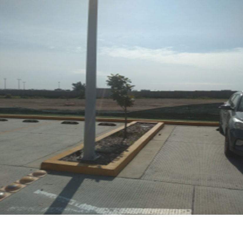 ARBOL015
