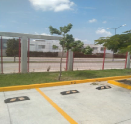 ARBOL 191