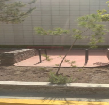 ARBOL 108