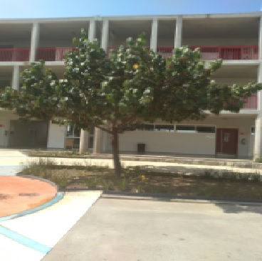 Arbol 318

Especie: Malvácea
Nombre Común: Majagua
Zona: 3 Preparatoria

