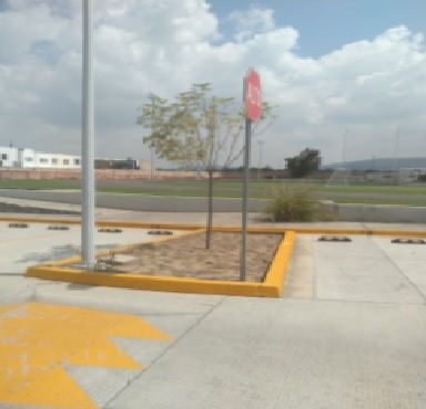 ARBOL 218