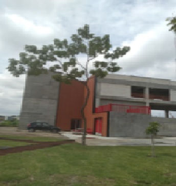 ARBOL 494
