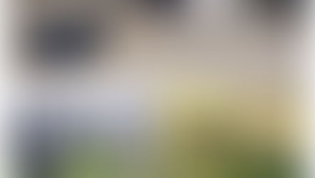 Dierenparkje bestaat 25 jaar