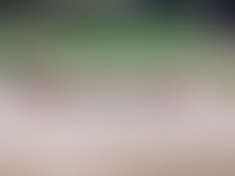 De eerste stap is gezet voor de nieuwe hooiruif 🐾