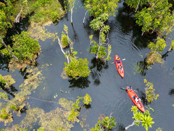 Khlong Nam Sai And Khlong Ru