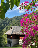 Thanyamundra Organic Resort – Khao Sok