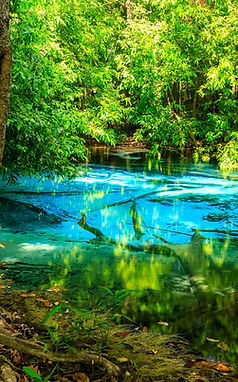 Emerald Pool & Hot Spring