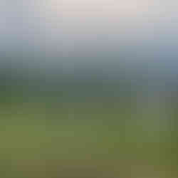 Baan Rim Fai Homestay