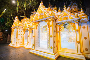 Tiger Jungle Adventure1.jpg