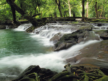 Than Bok Khorani National Park
