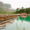 Bamboo Resort Khao Sok