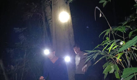 Lantern light glowing in the rainforest during a jungle camping expedition in Khao Sok.