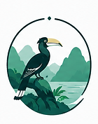 Wildlife encounters at Cheow Lan Lake including hornbills, gibbons, and native rainforest wildlife