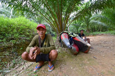 Book your private canoeing safari today and immerse yourself in the natural beauty of Khao Sok National Park!