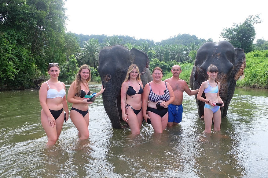khao sok elephant bathing