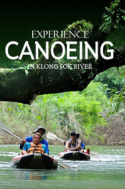 Canoeing activity along Khlong Sok River in Khao Sok