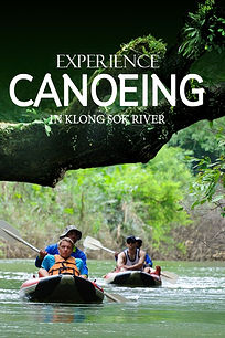 Canoeing activity along Khlong Sok River in Khao Sok