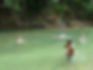 jungle trek 6.jpg
