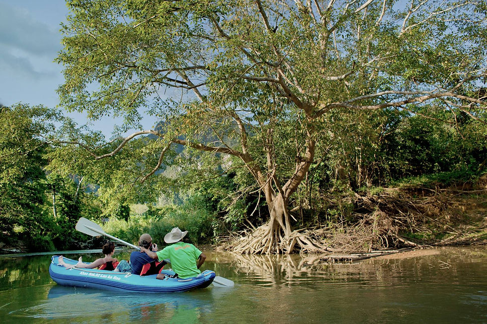 Sok River Canoe Wildlife: A Riverbank Spotting Guide