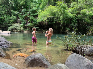 Trek through Khao Sok National Park with experienced guides.