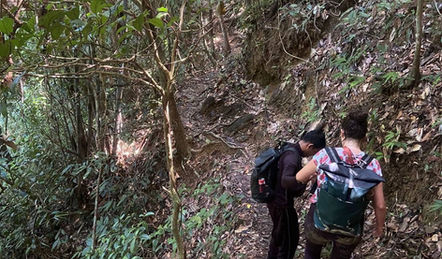 Jungle trekking through dense rainforest terrain during a Khao Sok wilderness expedition.