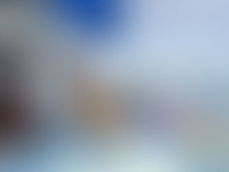 Our private trip 31 December 2020