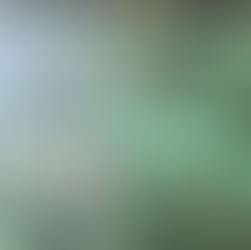 Beginner Guide to Snorkeling in Krabi : Safe and Fun for First-Timers